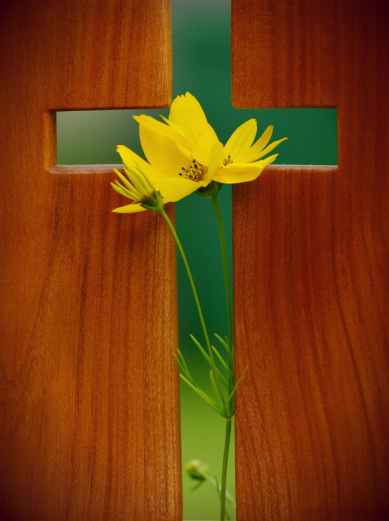 cross-symbol-christian-faith-faith-161078.jpeg